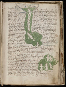 Voynich_Manuscript_(135)