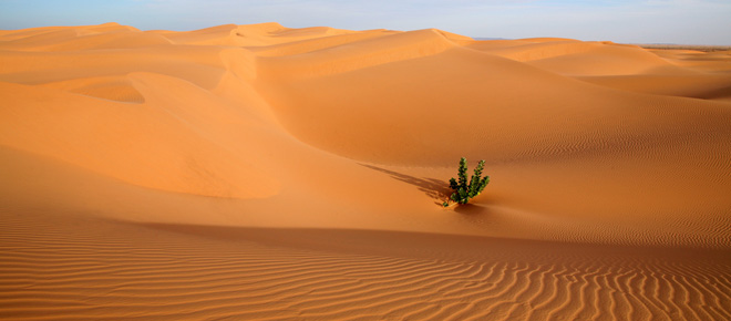 Deserto mauritania