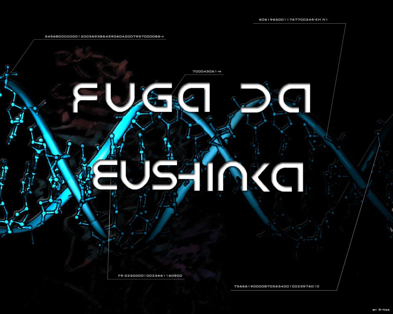 Musha_Shugyo_Fuga_da_EuShinka